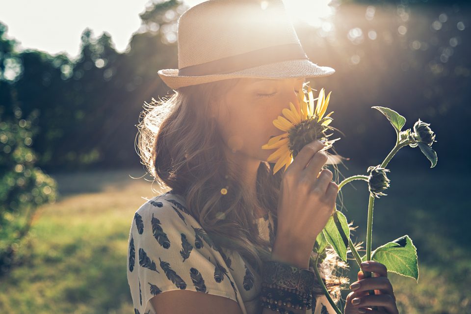 Sunflower Festival