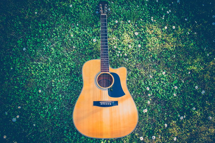 Close-up of guitar in the grass