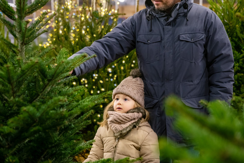 Father and daughter choose a Christmas tree in the market.