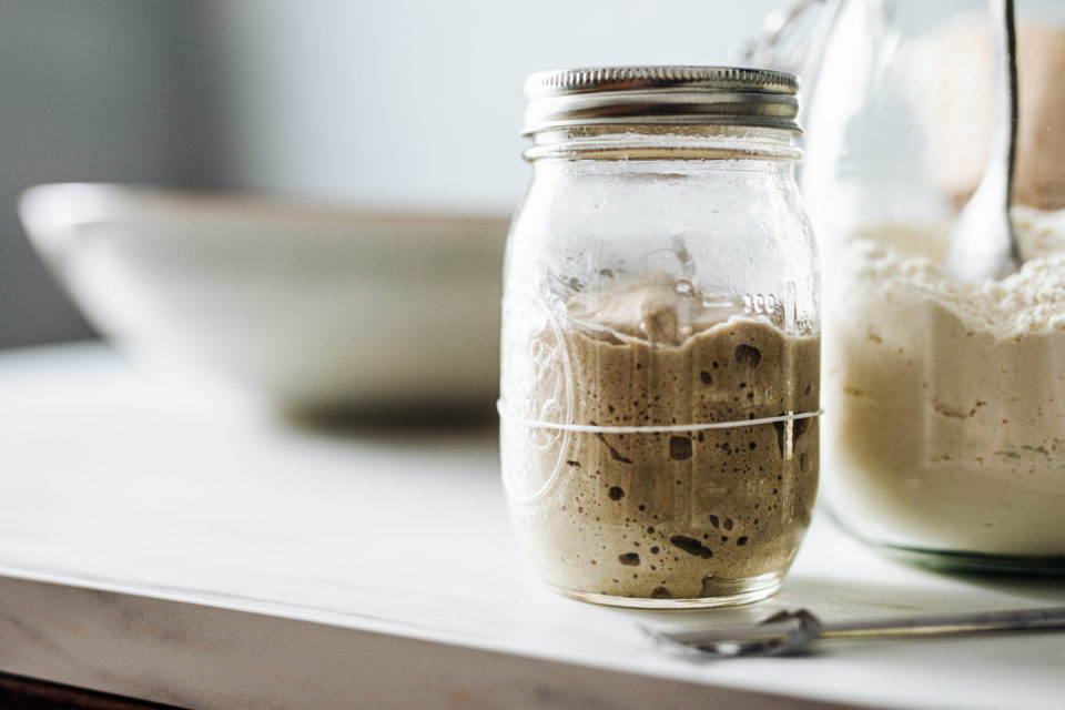 Close-up of sourdough starter and flour in jars. Yeast is on kitchen counter. It is in glass container.