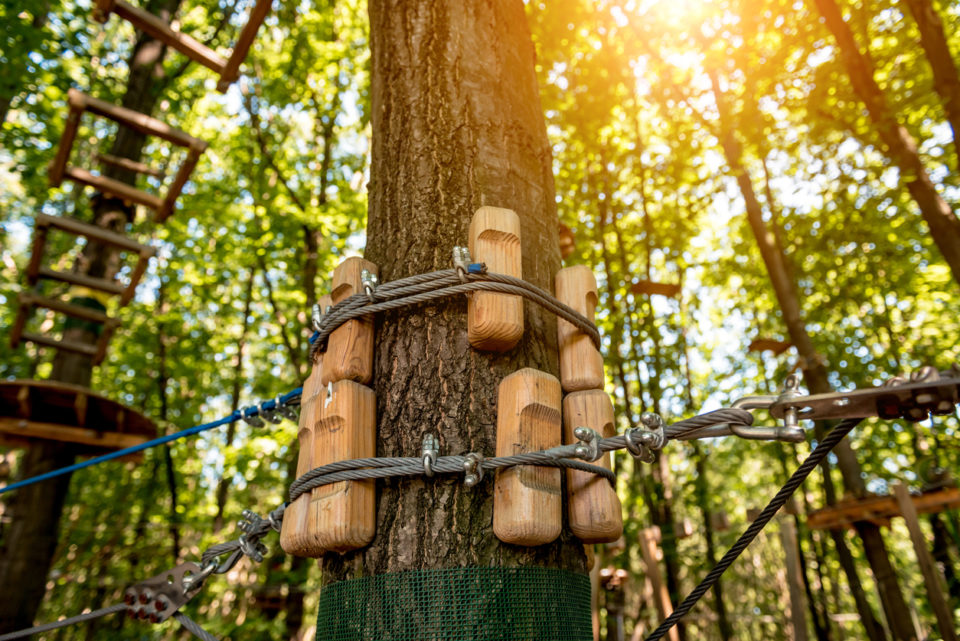 Rope park in a forest