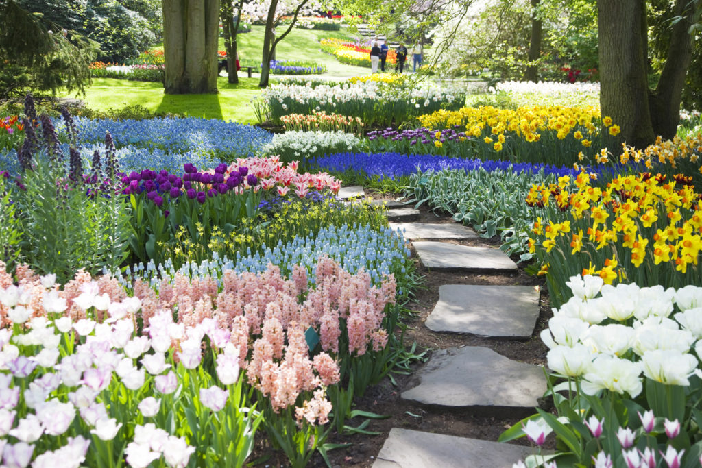A colorful garden path