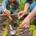 Easy Gardening Tips For Beginners