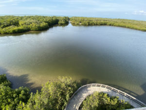 Explore Robinson Preserve This Summer